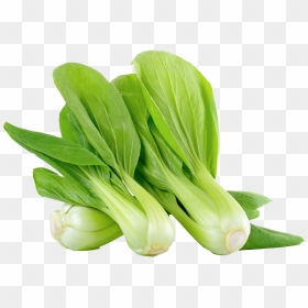 Bok Choy Png Clipart Background - Siow Pak Choy, Transparent Png - vegetables png