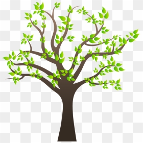 Branch Png Transparent Free Images - Tree With Branches Png, Png Download - tree branch png