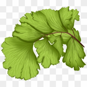 Transparent Vector Leaves Png - Fern Leaf Vector Png, Png Download - fern png