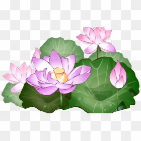 Lotus Clipart Transparent Pencil And In Color Lotus - Lotus Flower Art Free, HD Png Download - lotus flower png