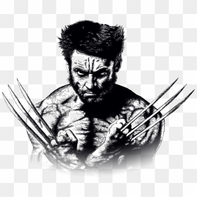 Graphic Design Drogheda, Web Design Drogheda, Illustration - Wolverine Png Transparent, Png Download - wolverine png