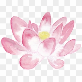Sacred Lotus, HD Png Download - lotus png
