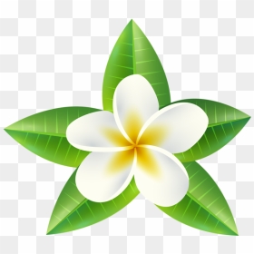 Tropical Flower Png Clip Art Image - Transparent Tropical Flowers Clipart, Png Download - flower clipart png