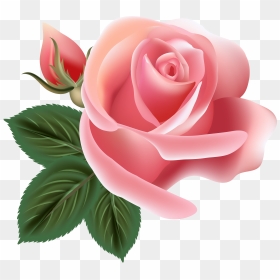 Pink Rose Png, Transparent Png - pink rose png