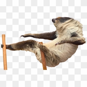 Psbattle Chill Sloth Png Sloth Jokes Pickle - Sloth Gif Transparent, Png Download - sloth png