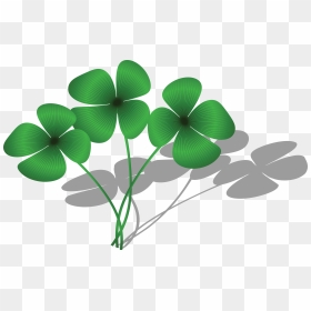 Free Clipart Of A Trio Of Four Leaf Clovers And Shadows - Transparent Background Four Leaf Clovers Clipart, HD Png Download - four leaf clover png
