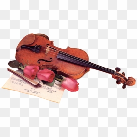 Цветы И Музыкальные Инструменты, HD Png Download - violin png