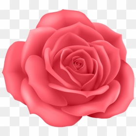 Thumb Image - Cartoon Rose Transparent Background, HD Png Download - pink flower png