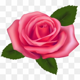 Beautiful Pink Rose Png Clipart - Rose Clip Art Png, Transparent Png - pink rose png