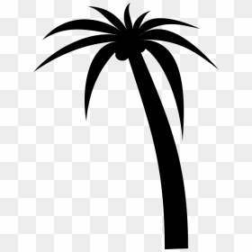 Trees Vector Graphics Pixabay Download Free Images - Vector Green Coconut Tree, HD Png Download - palm png