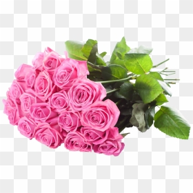 Bunch Of Pink Rose - Bunch Of Rose Png, Transparent Png - pink rose png