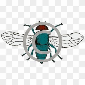 Gambar Lalat Vektor, HD Png Download - fly png