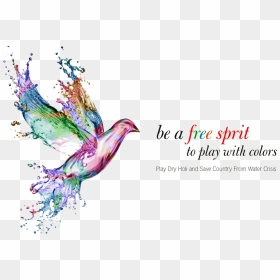 Holi Water Crisis Quotes Text Png - Professional Happy Holi Wishes, Transparent Png - holi colors png