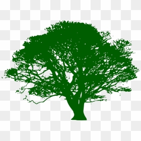 Brown And Green Tree Branch Svg Clip Arts - Silhouette Big Tree Vector, HD Png Download - tree branch png