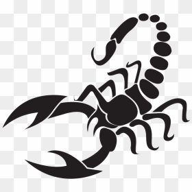Scorpion Vector , Png Download - Scorpion Clipart Png, Transparent Png - scorpion png