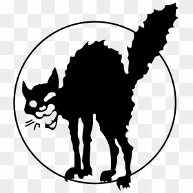 Anarchist Black Cat - Black Cat Symbol, HD Png Download - black cat png