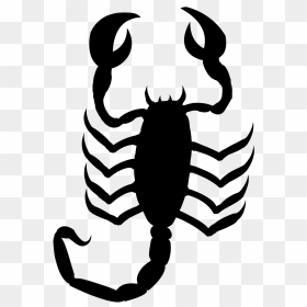 Jpg Black And White Library Bugs Drawing Scorpion - Scorpion Black And White Png, Transparent Png - scorpion png