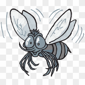 Mosquito, Cartoon, Bee, Flying, Insect, Buzzing, Fly - Cartoon Mexican Fruit Fly, HD Png Download - fly png