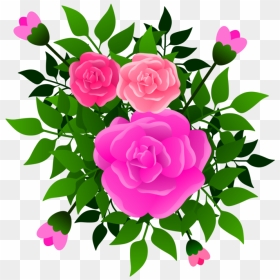 Pink,flower,prickly Rose - Hybrid Tea Rose, HD Png Download - pink rose png
