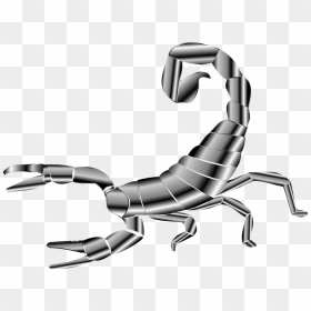 Scorpion Silhouette, HD Png Download - scorpion png