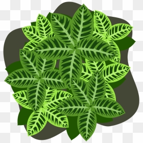 Four-leaf Clover, HD Png Download - four leaf clover png