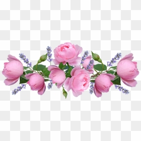 Pink Flowers Png Transparent, Png Download - pink rose png