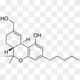 11 Oh Delta 9 Thc - Delta 9 Tetrahydrocannabinol, HD Png Download - marijuana png