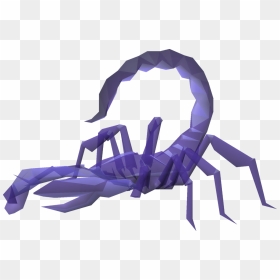 Insect, HD Png Download - scorpion png