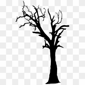 Transparent Creepy Tree Silhouette Png, Png Download - dead tree png