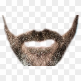 Realistic Mustache Transparent Background - Transparent Background Beard Png, Png Download - realistic fire png