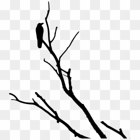 Crow On Tree Silhouette, HD Png Download - dead tree png