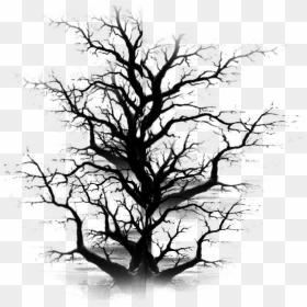 Transparent Dead Tree Png - Dead Trees Png Files, Png Download - dead tree png