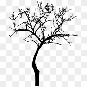 Dead Tree Silhouette Png Image Royalty Free Stock - Bare Tree Silhouette Png, Transparent Png - dead tree png