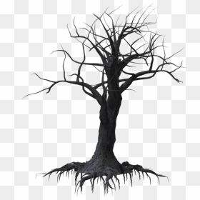 Forrest Drawing Dead Tree Forest - Creepy Tree Transparent Background, HD Png Download - dead tree png