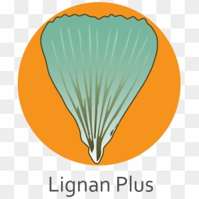 Lignan Plus - Poster, HD Png Download - plus png