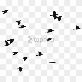 Free Png Birds Flying Silhouette Png Image With Transparent - Silhouette Birds Flying Png, Png Download - birds flying png