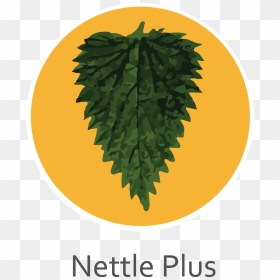 Nettle Plus - Leni Loud, HD Png Download - plus png