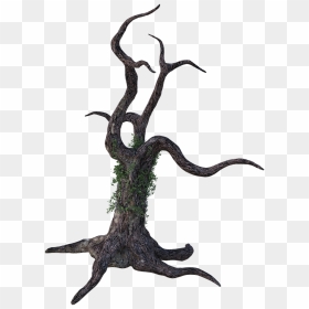 Bark, HD Png Download - dead tree png