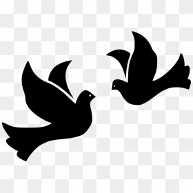 Thumb Image - Dove With Ring Png, Transparent Png - doves png