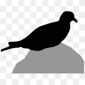 Turtle Dove Clipart Transparent Background - Clip Art, HD Png Download - doves png