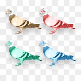 Your Digital Partners In Crime - Pigeons And Doves, HD Png Download - doves png