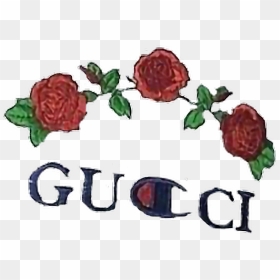 820 X 568 - Gucci Champion Hoodie, HD Png Download - gucci png