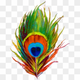 Bansuri With Peacock Feather Png - Peacock Feather Clipart Png, Transparent Png - mor pankh png