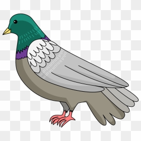 Dove Clipart, HD Png Download - doves png