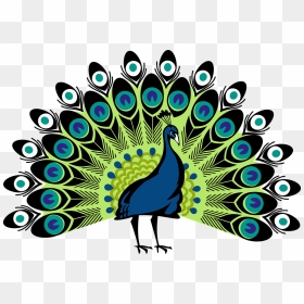 Peacock Png Images Free Beaut - Peacock Clipart Png, Transparent Png - mor pankh png