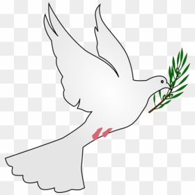 Dove With Olive Branch Png - Dove With Leaf In Its Mouth, Transparent Png - doves png
