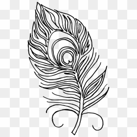Turkey Feathers Clipart Black & White Picture Free - Peacock Feather For Colouring, HD Png Download - mor pankh png