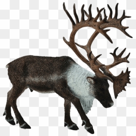 Reindeer Toy Figure Clip Arts - Caribou Collecta, HD Png Download - reindeer png