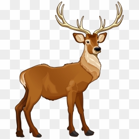 Free Reindeer Clipart The Cliparts - Clipart Of Reindeer, HD Png Download - reindeer png