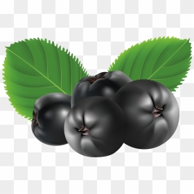 Blueberries Png - Small Fruits Name In All, Transparent Png - blueberry png